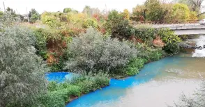 Екоинспекцията не сварила да види електриковите води в Лома