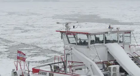 Снимка: Архив &bdquo;Утро&ldquo;