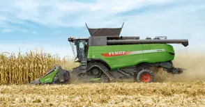 822 кг от декар е добивът на царевица в Русенско