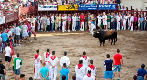 Поредната шокираща испанска традиция /видео/