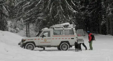 Спасители с кучета и доброволци търсят изчезналия мъж в района на "Картала"