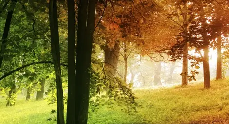 Учени: Температурните разлики между сезоните ще намаляват