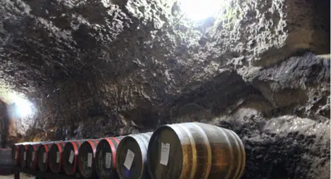 Българска винарна за първи път в Топ 50 на световните винени дестинации Българска винарна за първи път в Топ 50 на световните винени дестинации