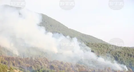 Снимка: БТА