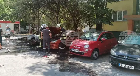 Снимка: БТА Снимка: БТА