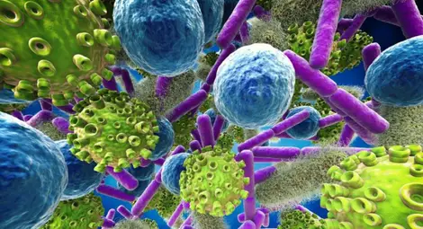 Микроби могат да помогнат за почистването на микропластмаси от околната среда