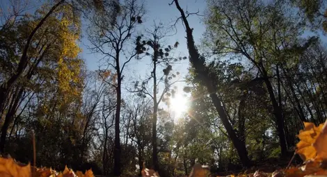 Идва жега до 29 градуса в края на октомври