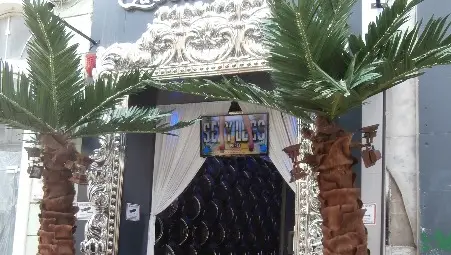 Пластмасови палми &bdquo;украсиха&ldquo;  бароковата &bdquo;Александровска&ldquo;