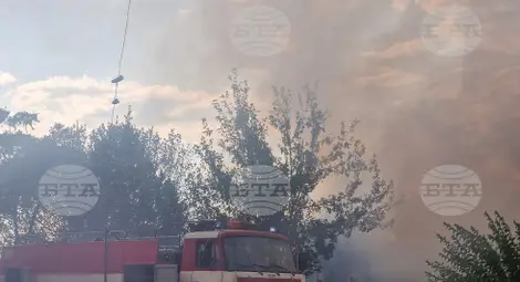 Снимка: БТА Снимка: БТА