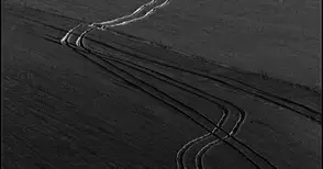 Младен Миланов със златен медал на Американската фотографска общност