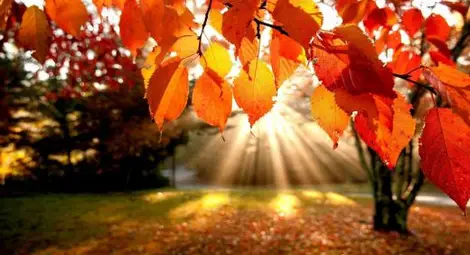 Валежите спират, слънцeто се завръща