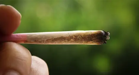 Трагедия! Момичето, пушило опасен „чай”, си отиде след 3 месеца кома Трагедия! Момичето, пушило опасен „чай”, си отиде след 3 месеца кома