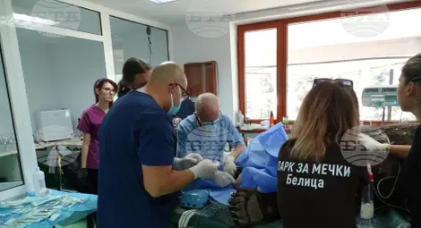 Снимка: БТА