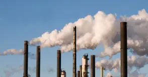 Преработващата индустрия внася най-много данъци