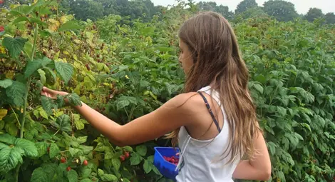 Великобритания спешно търси работници от Източна Европа