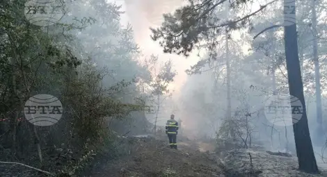 Снимка: БТА