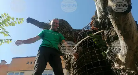 Снимка: БТА