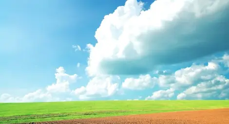 839 лева е средната цена на  земеделската земя в Русенско