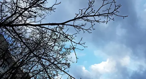 Хладно време до Цветница, от понеделник затопляне Хладно време до Цветница, от понеделник затопляне