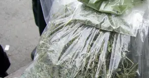 Русенка заловена с близо кило марихуана на Дунав мост