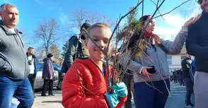 11 500 млади дръвчета допълниха зеленото богатство на Русе и областта