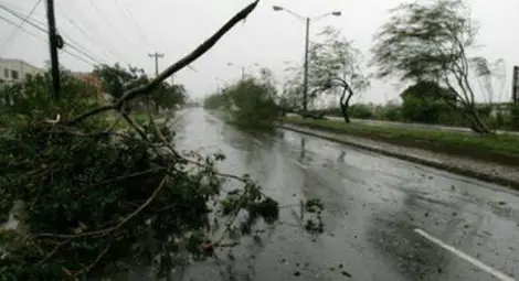 Вятър с пориви до 100 км/ч остави без ток шест села в Русенска област