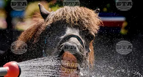 Снимка: БТА Снимка: БТА