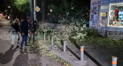 Снимка: БТА