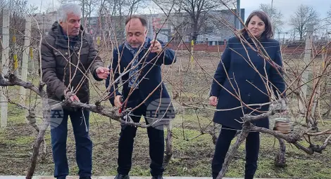 Снимка: БТА