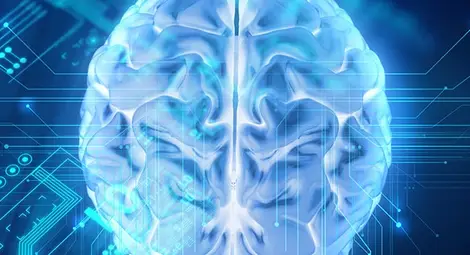 Свързаха в мрежа три човешки мозъка Свързаха в мрежа три човешки мозъка