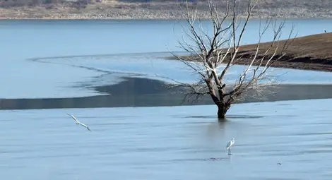 Реките и язовирите в Русенско с нормално ниво