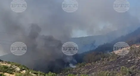 Снимка: БТА