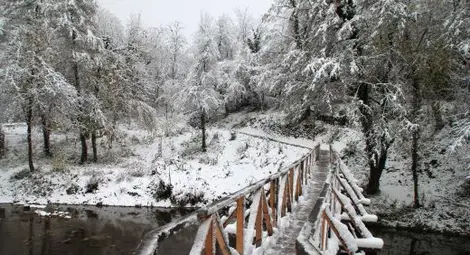 Снегът идва утре след пладне