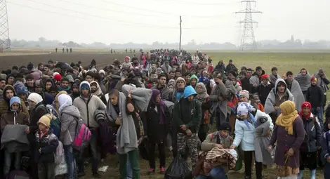 Официално: Словения издига ограда срещу мигрантите