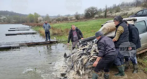 Снимка: БТА