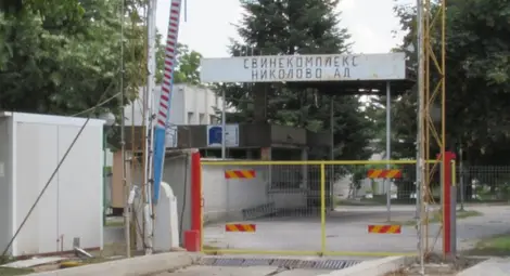 Свинекомплекс се пребори за 3,5 милиона лева за умъртвени преди три години прасета