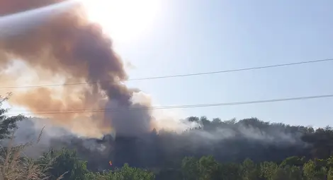 Искра от локомотив подпали 100 дка сухи треви и борова гора близо до дом &bdquo;Приста&ldquo;