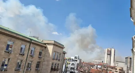 Пожар от запалено стърнище в Гюргево притесни русенци