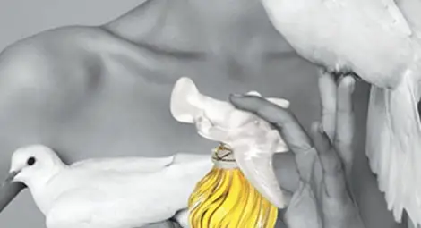 Талант, амбиция, идеи. И един безценен Робърт Талант, амбиция, идеи. И един безценен Робърт