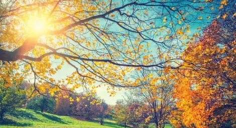 Лятна седмица през октомври