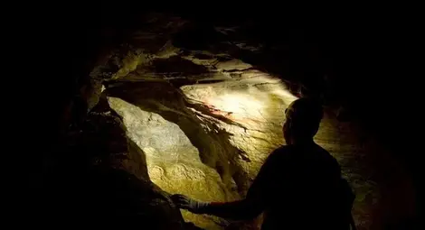 Дъното на света /галерия/