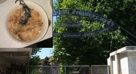 Заради умрялата мишка в чинията на дете вдигнаха на крак Университетската болница в Пловдив