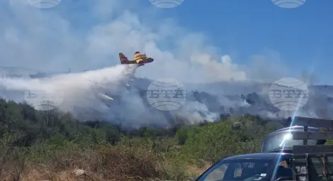 Снимка: БТА