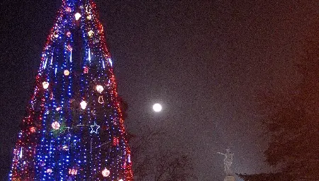 Коледна елха за 10 000 лева ще краси площада