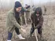 Край Сливен бяха залесени 150 фиданки от черна топола