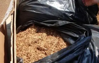 Спипаха българин с контрабанден тютюн за 1,2 млн. евро