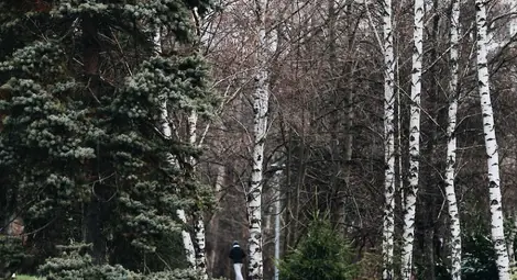 Суровото време ще ни пощади и за Коледа, и за Нова година