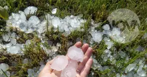 Над 5000 декара посеви  помлени от градушката