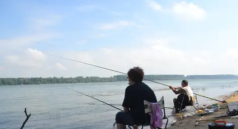 Забраняват за три години риболова в 17 участъка на река Дунав Забраняват за три години риболова в 17 участъка на река Дунав