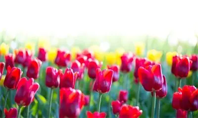 Горещо време утре, до 30&deg;